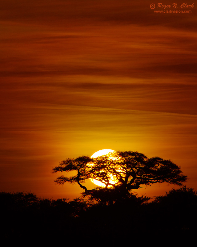 image serengeti.sunrise.c02.24.2011.c45i5793.b-800.jpg is Copyrighted by Roger N. Clark, www.clarkvision.com