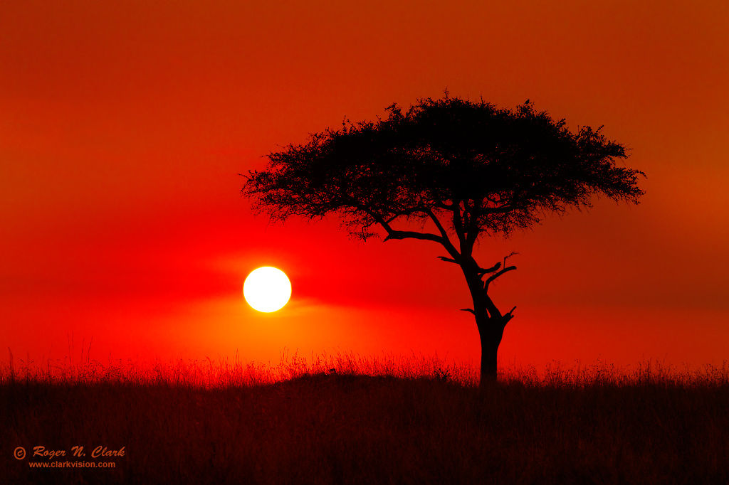 image serengeti.sunset.c08.06.2012.C45I2006.d-1024.jpg is Copyrighted by Roger N. Clark, www.clarkvision.com