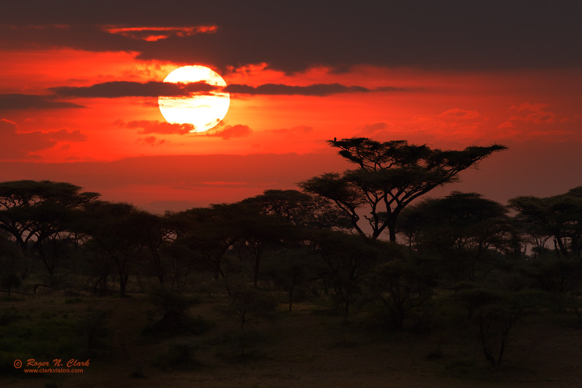 image serengeti.sunrise.c02.17.2015.0J6A2456_b-1200.jpg is Copyrighted by Roger N. Clark, www.clarkvision.com