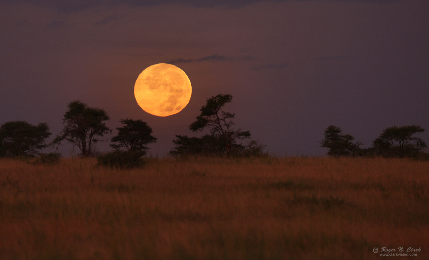 image serengeti-moonset-c02-24-2024-4C3A3180-b1-1400s.jpg is Copyrighted by Roger N. Clark, www.clarkvision.com