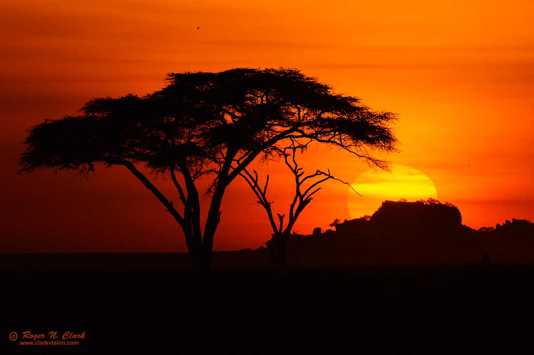image serengeti.sunrise.massai.kopjes.c02.22.2015.0J6A5759_c-1100s.jpg is Copyrighted by Roger N. Clark, www.clarkvision.com