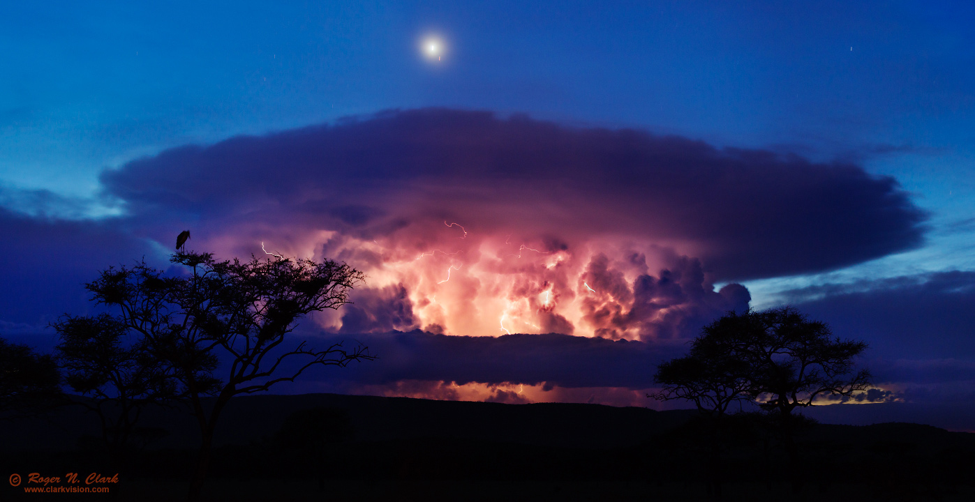 image serengeti.thunderstorm.c02.22.2015.IMG_0660-3_f-b5x5s.jpg is Copyrighted by Roger N. Clark, www.clarkvision.com