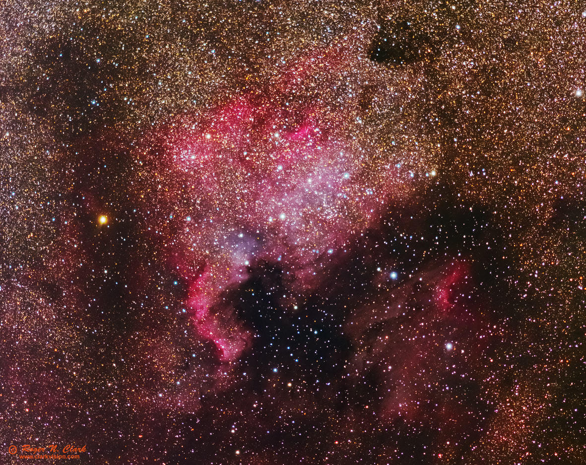 Economía Catastrófico necesidad ClarkVision Photograph - The North America and Pelican Nebulae in Cygnus