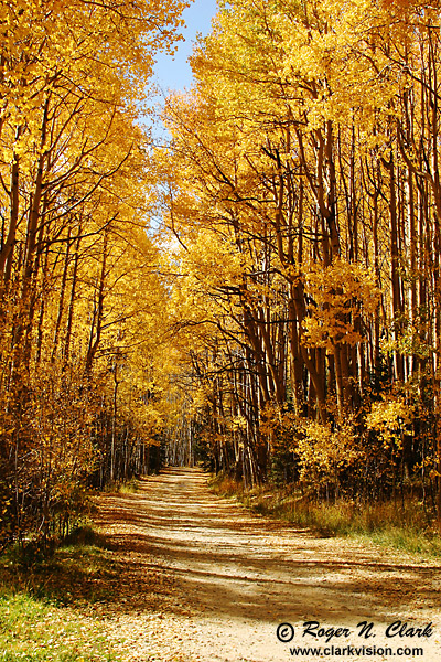 image colorado.fall.c09.30.2003.IMG_9480.b-600.jpg is Copyrighted by Roger N. Clark, www.clarkvision.com