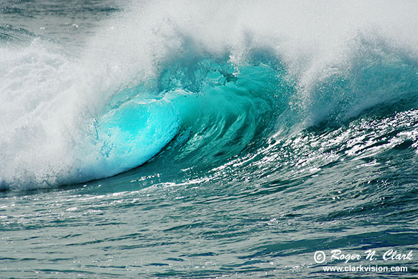 image hawaii.wave.c12.11.2004.JZ3F2615b-600.jpg is Copyrighted by Roger N. Clark, www.clarkvision.com