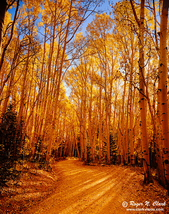 image colorado.fall-c09.30.2003.L4.9362b-700.jpg is Copyrighted by Roger N. Clark, www.clarkvision.com