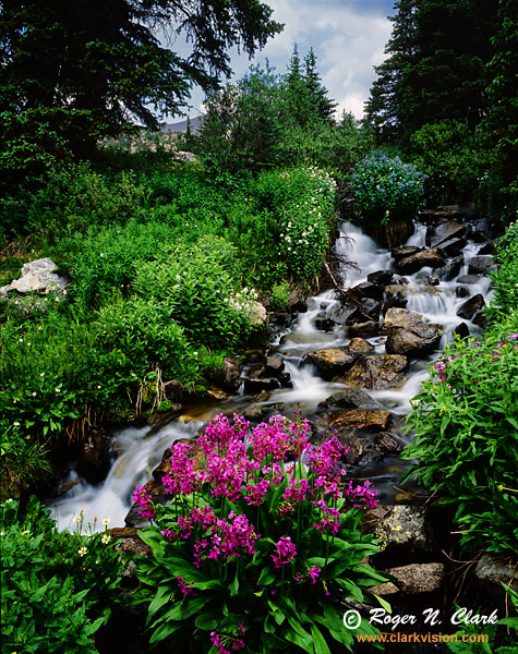 image indian_peaks_wildernessc07.04.2002.L4.07c-600.jpg is Copyrighted by Roger N. Clark, www.clarkvision.com