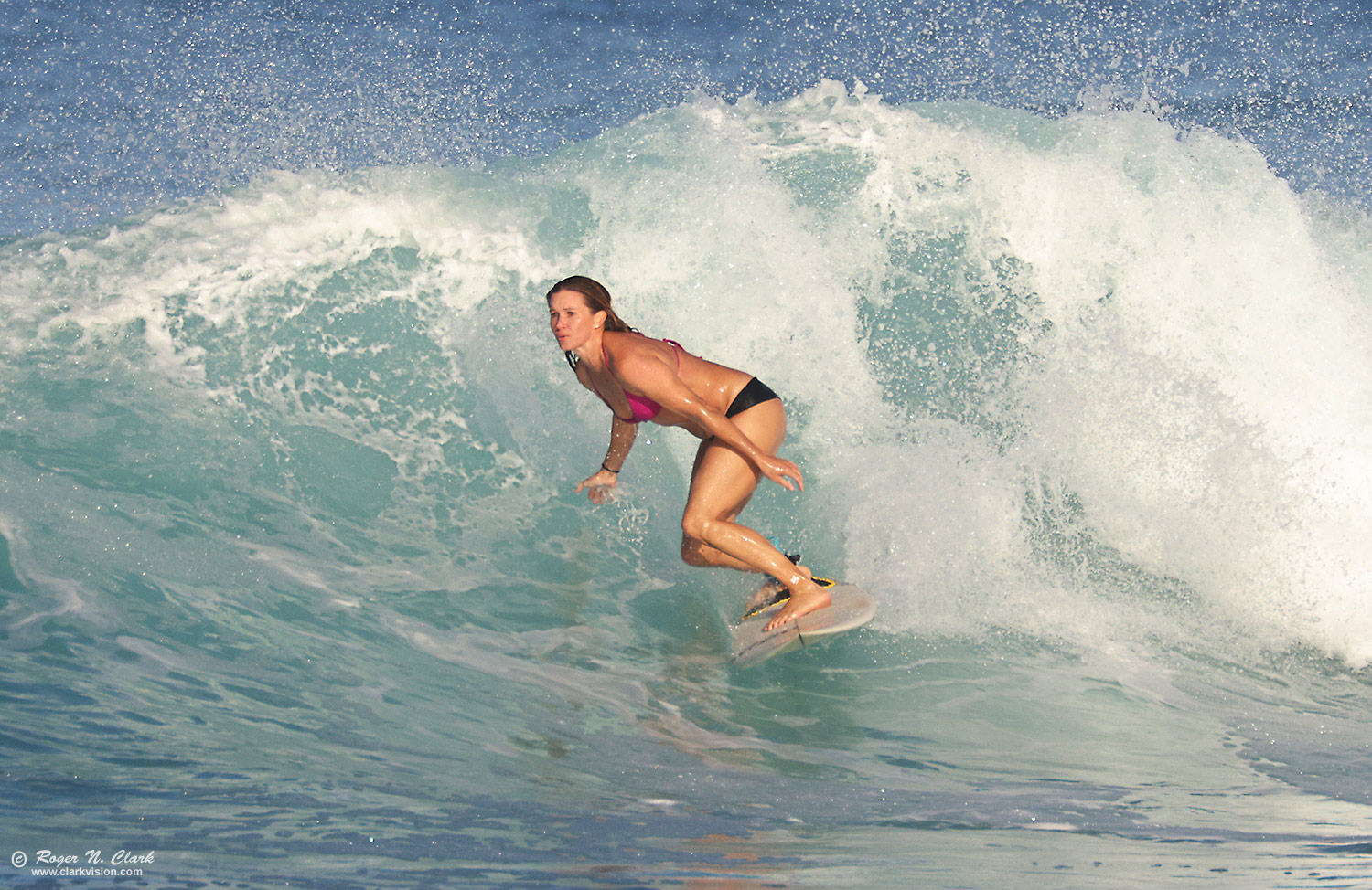 image surfing-c11-30-2025-4C3A5682-b-1500s.jpg is Copyrighted by Roger N. Clark, clarkvision.com