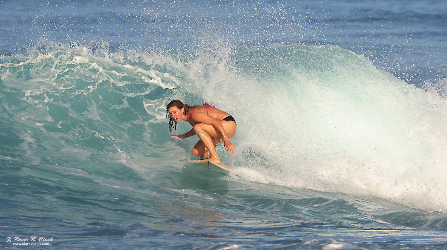 image surfing-c11-30-2025-4C3A5711-b-1500s.jpg is Copyrighted by Roger N. Clark, clarkvision.com