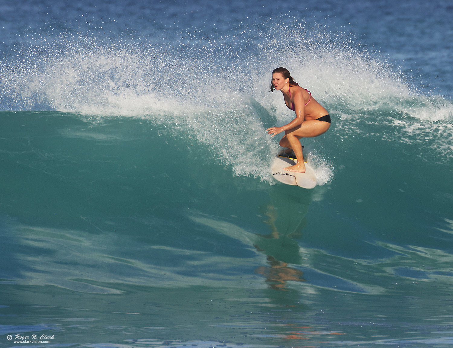 image surfing-c11-30-2025-4C3A5811-b-1500s.jpg is Copyrighted by Roger N. Clark, clarkvision.com