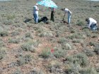 Photo of site facing north