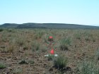 Photo of site facing east