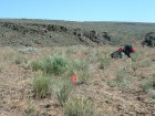 Photo of site facing north