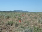 Photo of site facing south