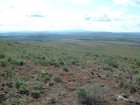 Photo of site facing east