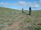 Photo of site facing west