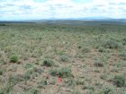 Photo of site facing east