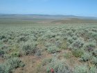 Photo of site facing west