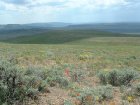 Photo of site facing south