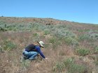 Photo of site facing north