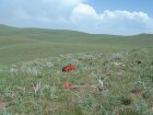 Photo of site facing east