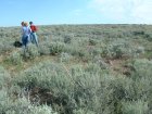 Photo of site facing north