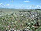 Photo of site facing east