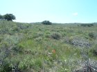 Photo of site facing west