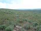 Photo of site facing east