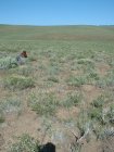 Photo of site facing west