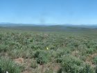 Photo of site facing east