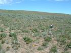 Photo of site facing north