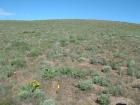 Photo of site facing west