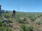 Photo of site facing north