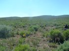 Photo of site facing west