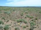 Photo of site facing east