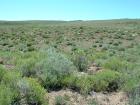 Photo of site facing west