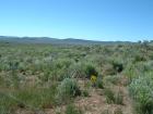 Photo of site facing south