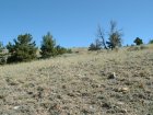 Photo of site facing north