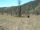 Photo of site facing east