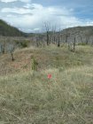 Photo of site facing east