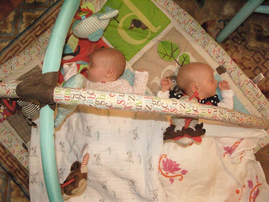 image 10-10_Sleeping_on_the_playmat.jpg is Copyrighted by Roger N. Clark, www.clarkvision.com