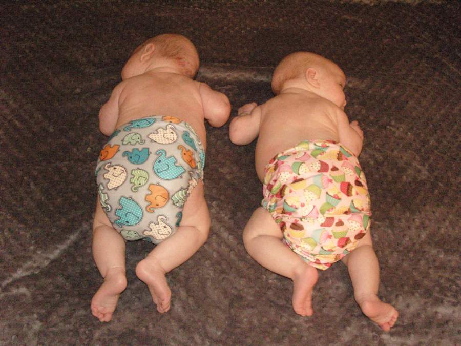 image 12-3_Bridget_and_June_in_diapers_1.jpg is Copyrighted by Roger N. Clark, www.clarkvision.com