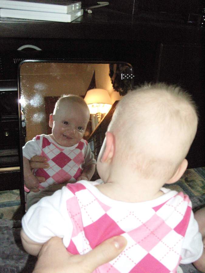 image 1-7_June_mirror.jpg is Copyrighted by Roger N. Clark, www.clarkvision.com